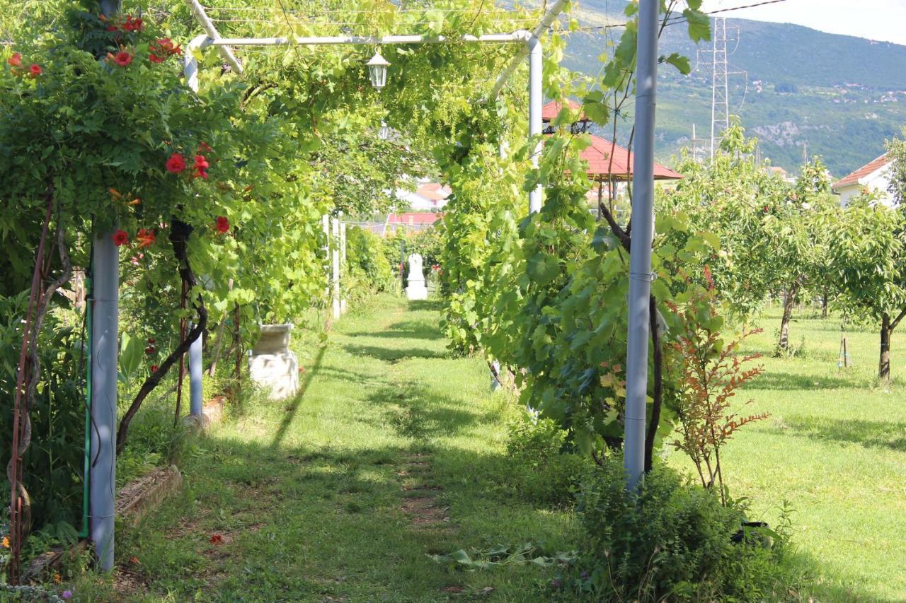 Casa Botanica Villa Blagaj Exterior foto