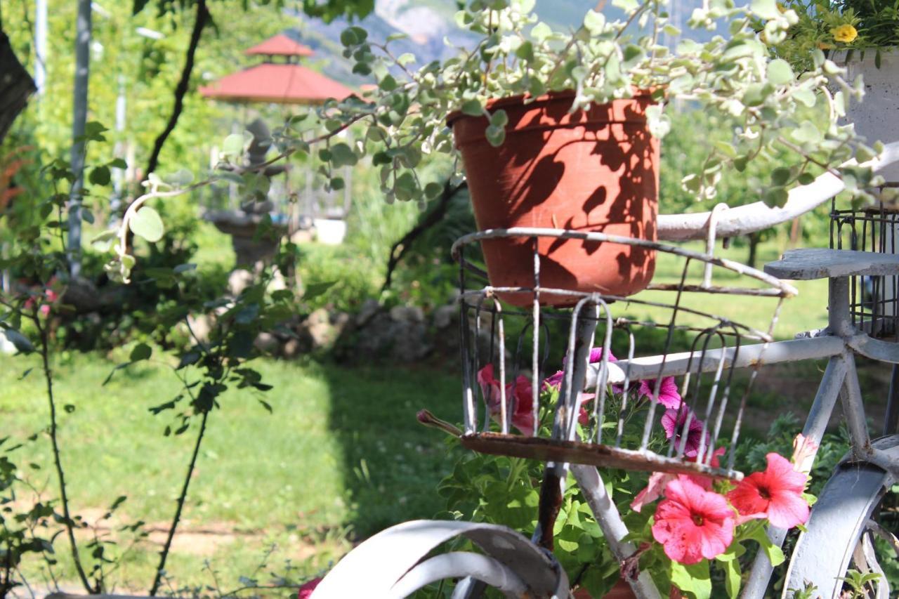 Casa Botanica Villa Blagaj Exterior foto